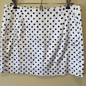 J. Crew Skirt (4)